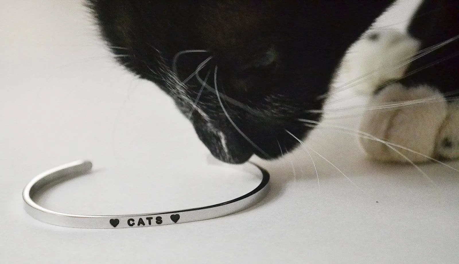 CATS Cuff Bracelet | Paw Promise Charity Bracelets